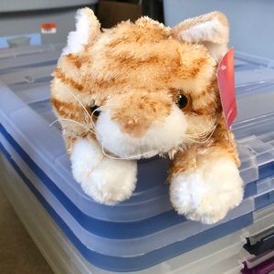 🎄🎅🏻🎁 FOA schwarz shaggy the tabby cat